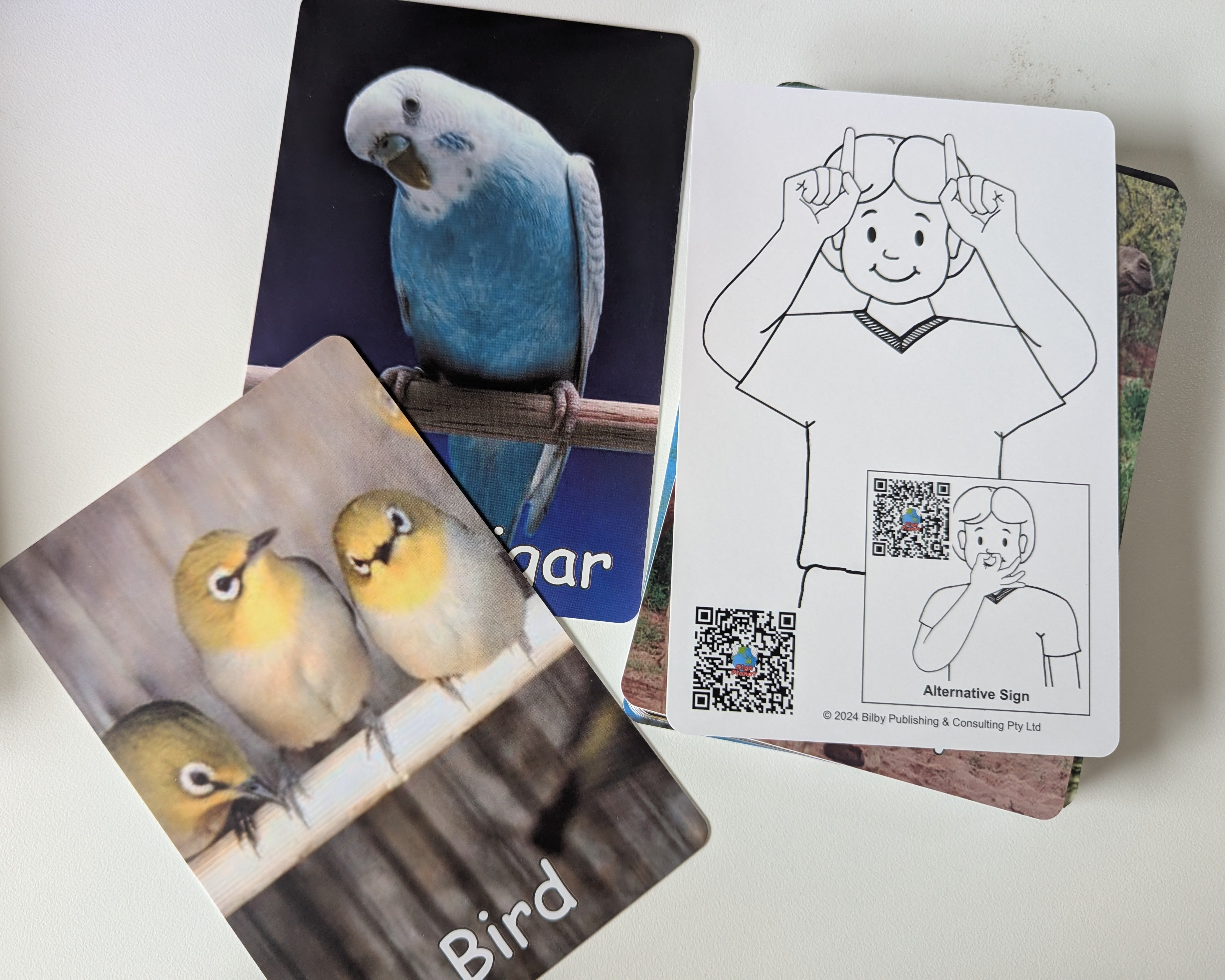 Auslan Flashcards - Animals