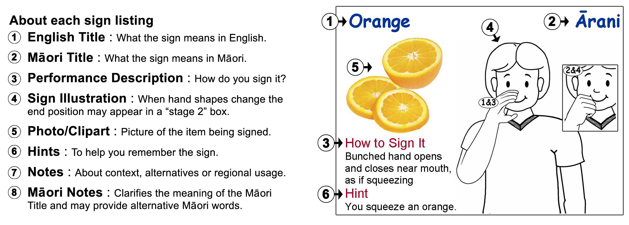 New Zealand Sign Language NZSL - English - Maori Children's Picture Dictionary