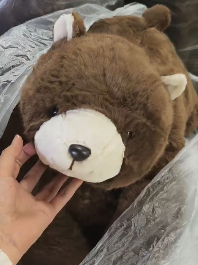Big Bear (1kg, 60cm) the long armed weighted sensory plush cuddle friend