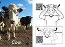 Auslan Flash Cards - Animals