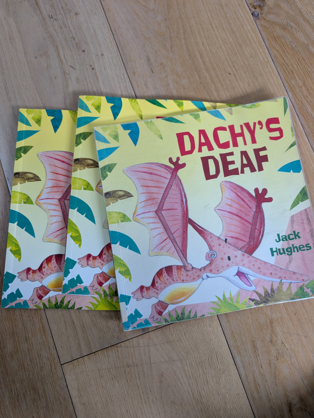 Dachys Deaf