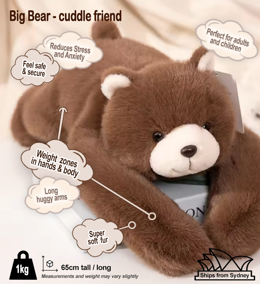Big Bear (1kg, 65cm) the long armed weighted sensory cuddle friend
