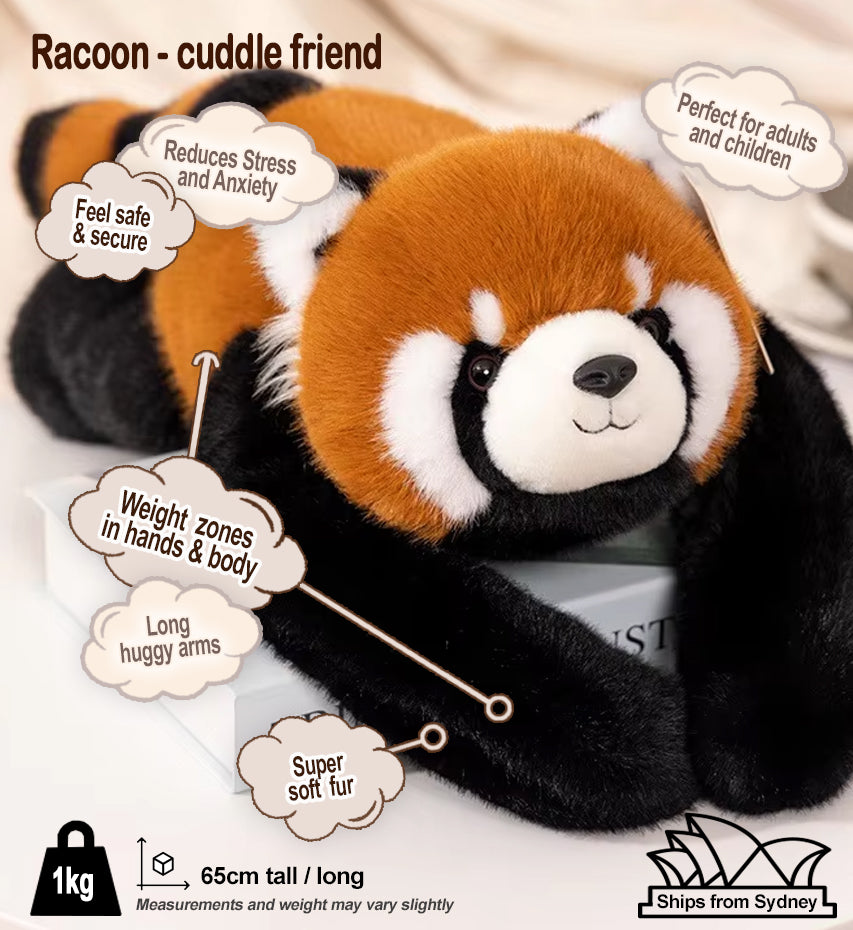 Racoon (1kg, 65cm) long armed, large weighted sensory plush toy - Cuddle Therapy Friend
