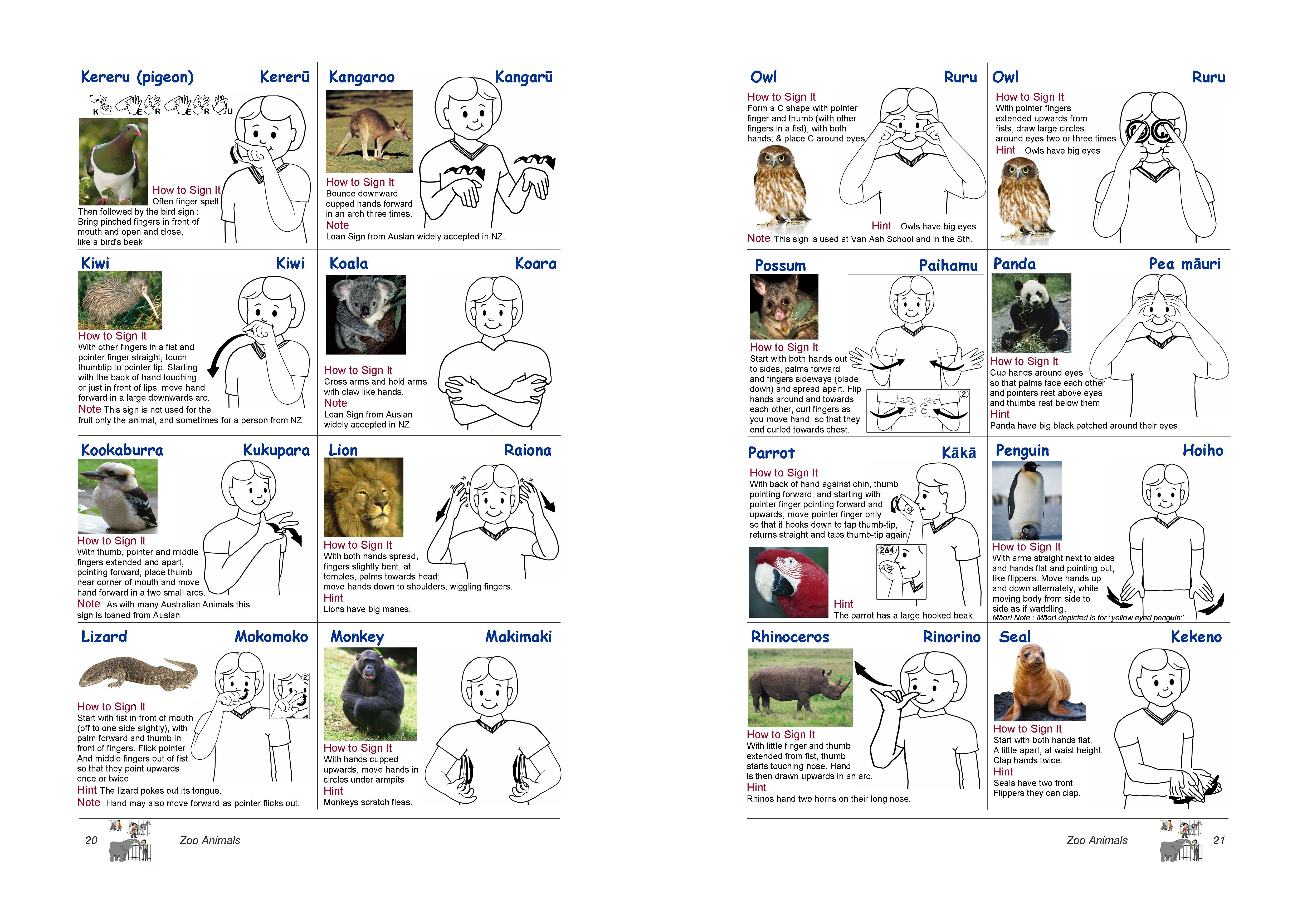 New Zealand Sign Language NZSL - English - Maori Children's Picture Dictionary
