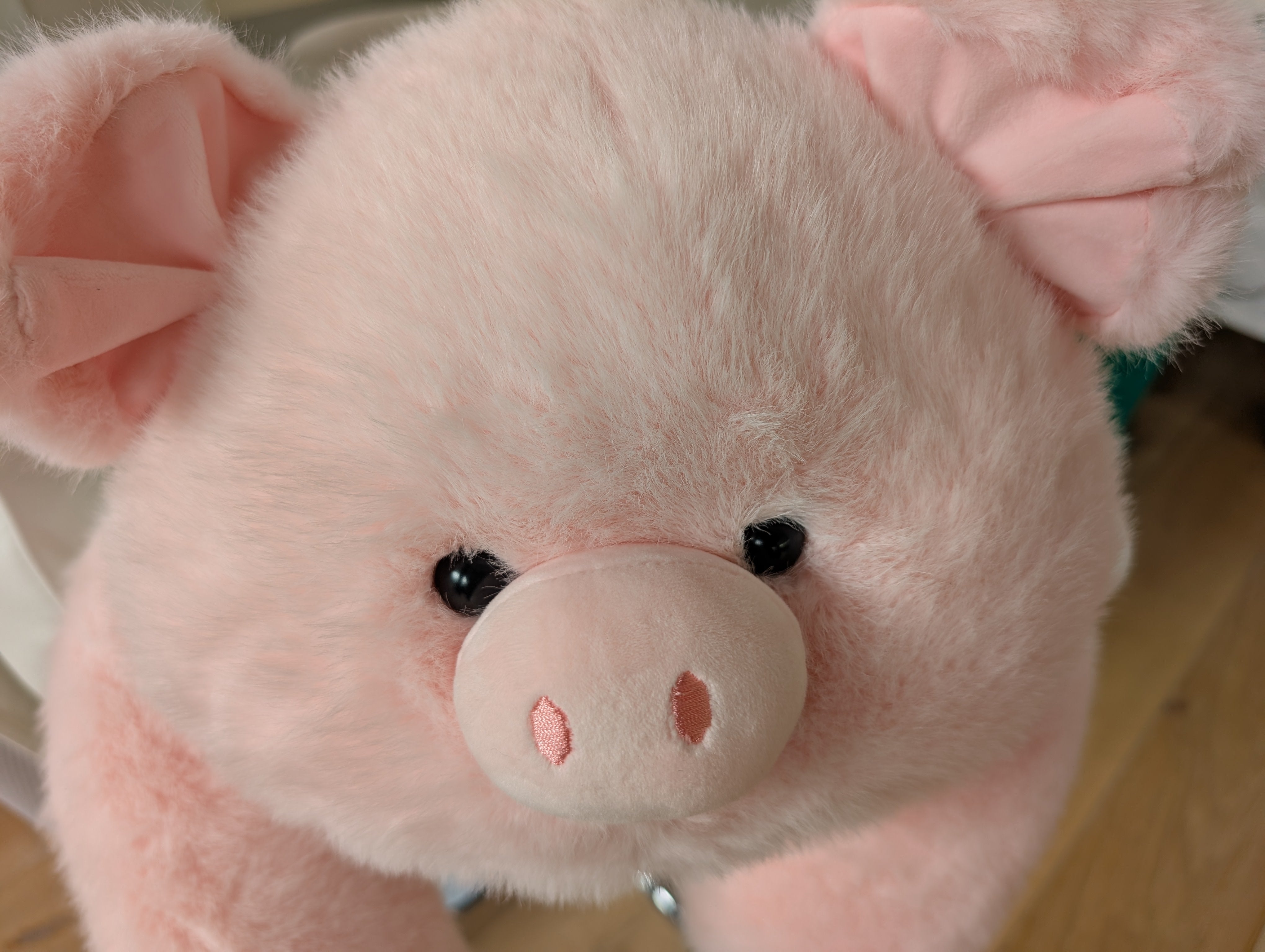 Pudgy Pig the long armed weighted sensory cuddle friend