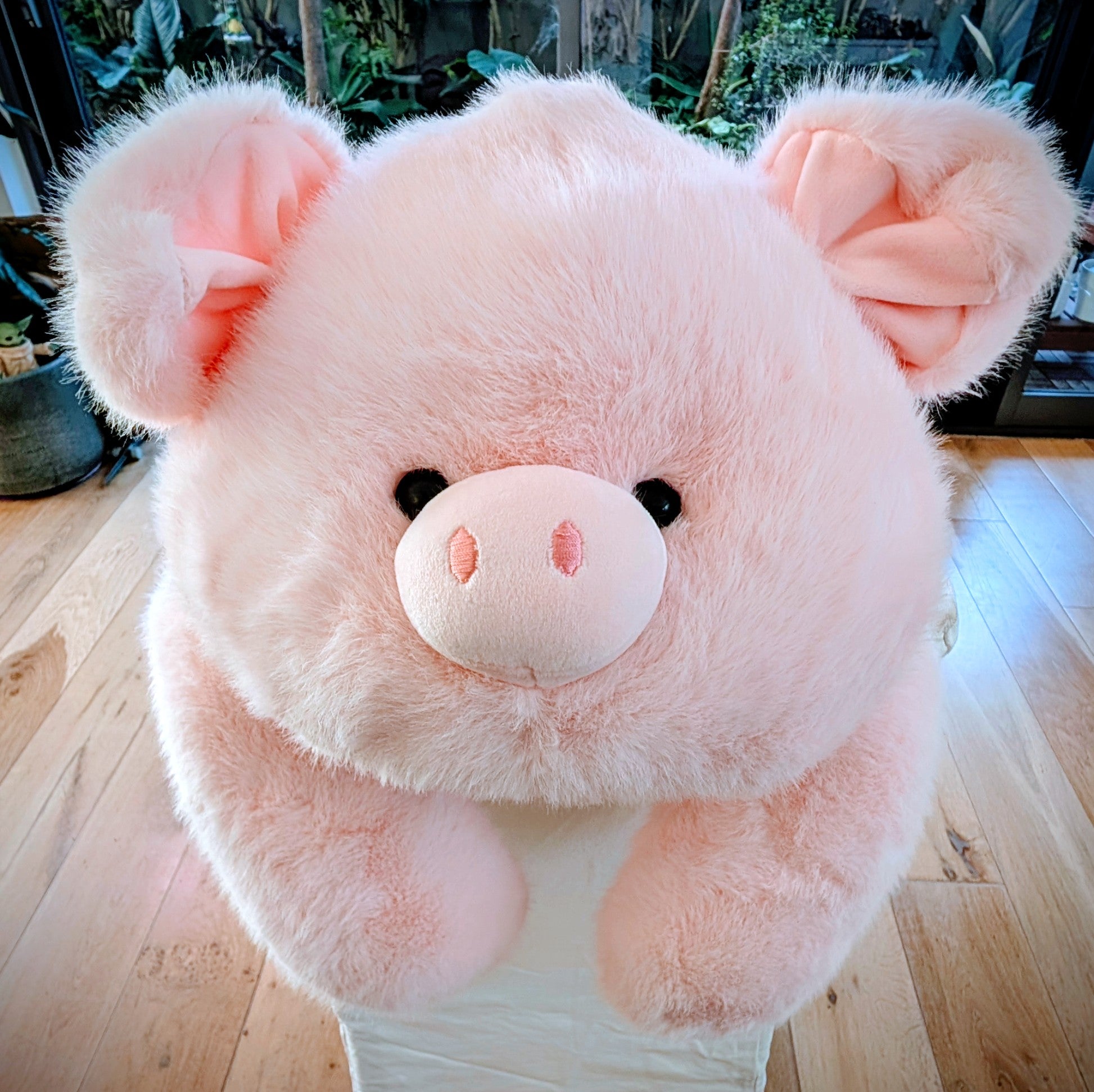 Pudgy Pig the long armed weighted sensory cuddle friend