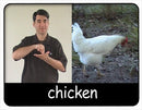 A Time to Sign - Auslan At Home Course for Beginners (Booklet and DVD)