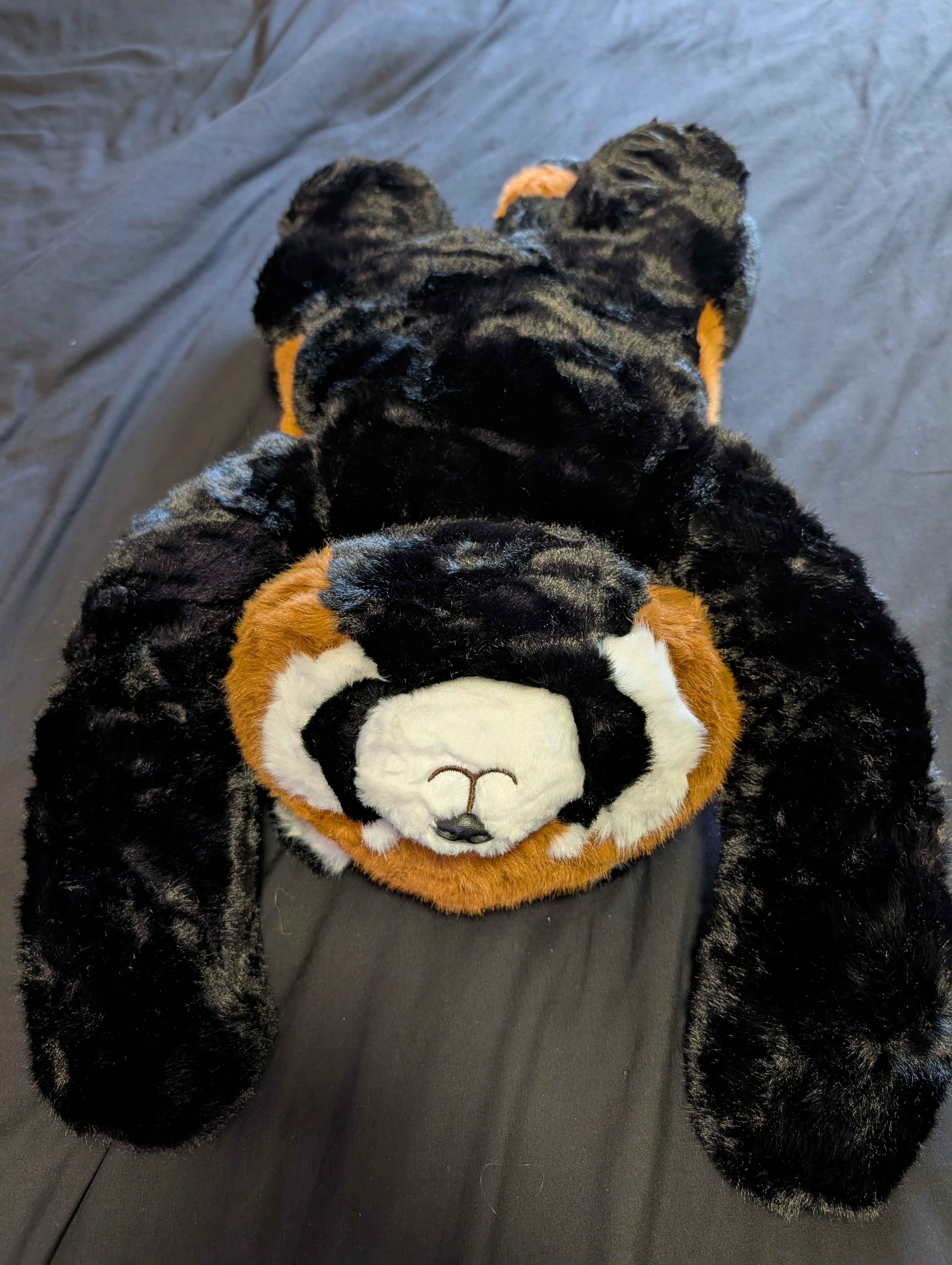 Remy the Racoon (1kg, 65cm) long armed, large weighted sensory plush toy - Cuddle Therapy Friend