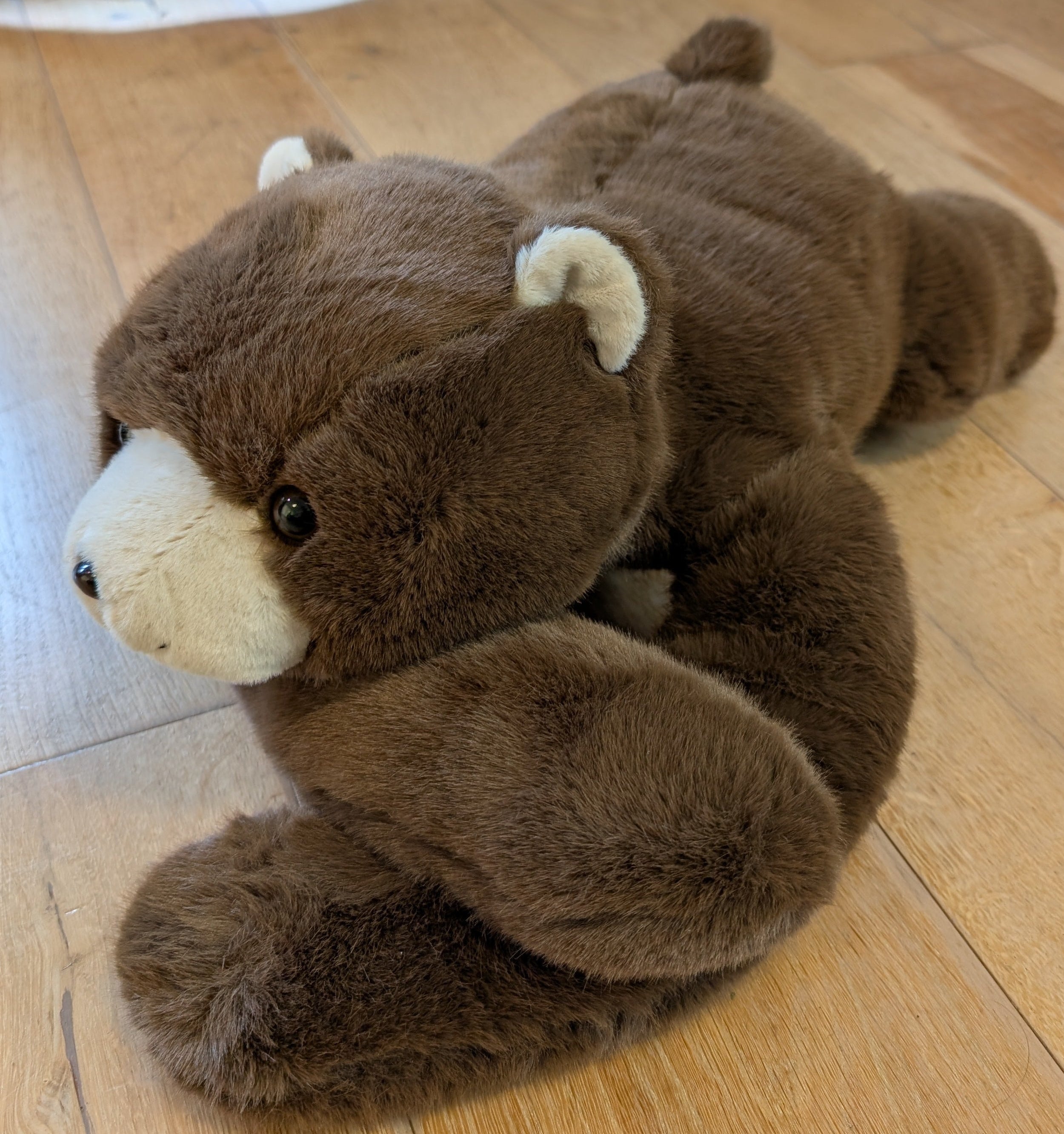 Big Bear the long armed weighted sensory cuddle friend