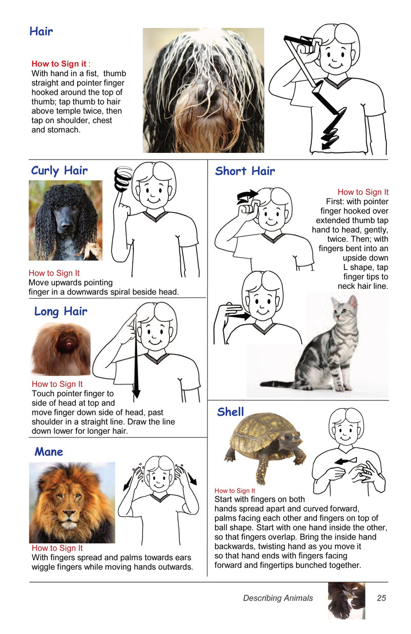 Auslan (Australian Sign Language) Children's Picture Dictionary Volume 1