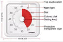 Visual Timer with red disc (160mm square) (Battery Operated)