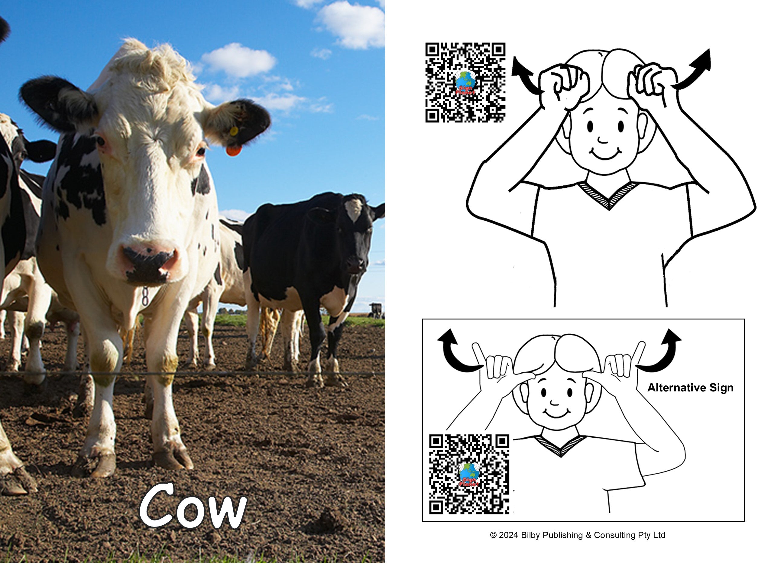 Auslan Flashcards - Animals