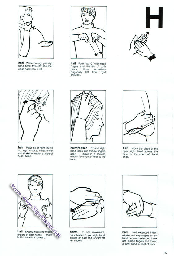 Ex Demo - Auslan Dictionaries and reference books