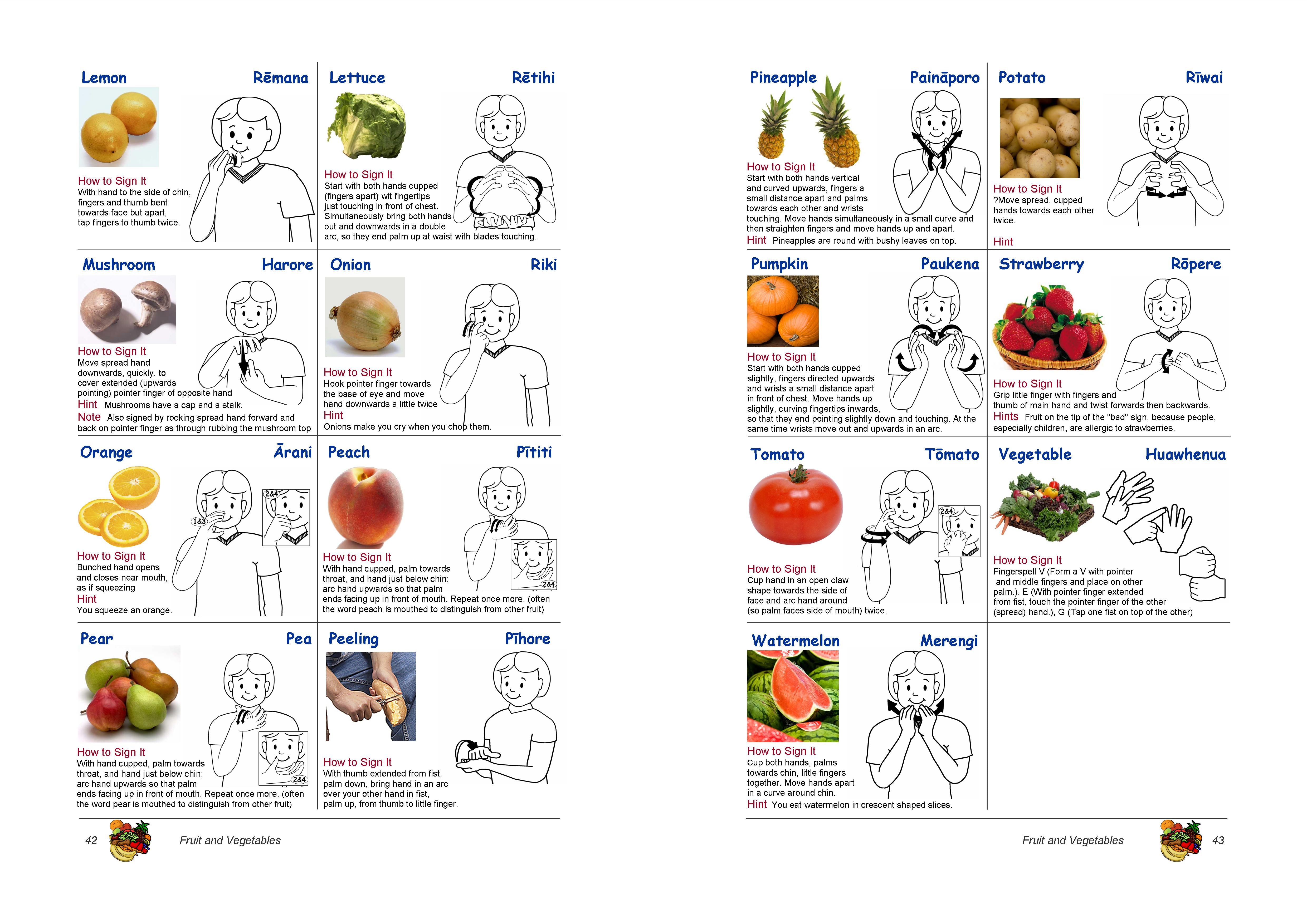 New Zealand Sign Language NZSL - English - Maori Children's Picture Dictionary