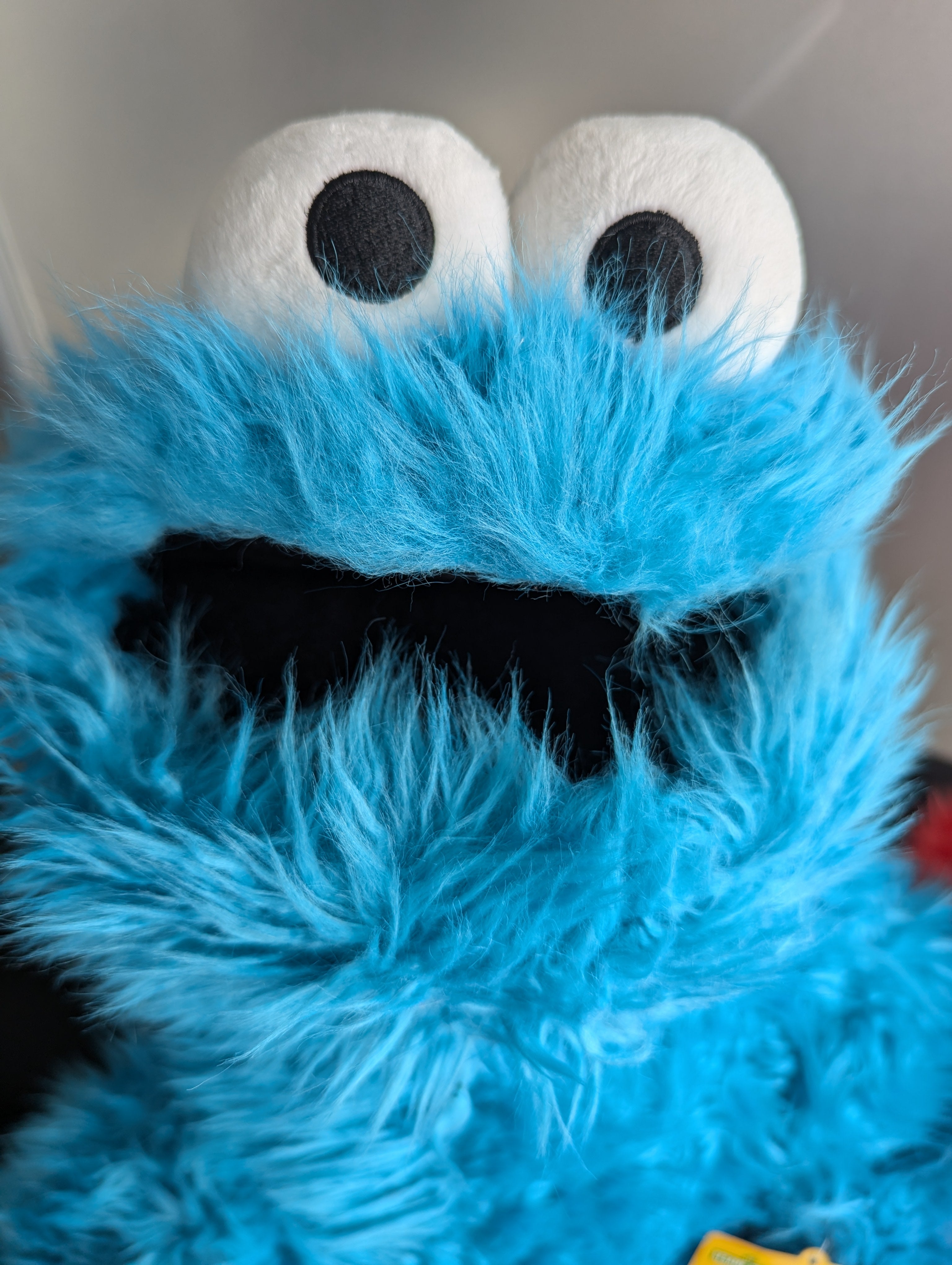 Sesame Street Cookie monster Signing Puppets - LAST ONE!!