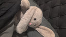 Cuddle Therapy Friend - Bailey Bunny - sound/light sensory sleep helper plush toy