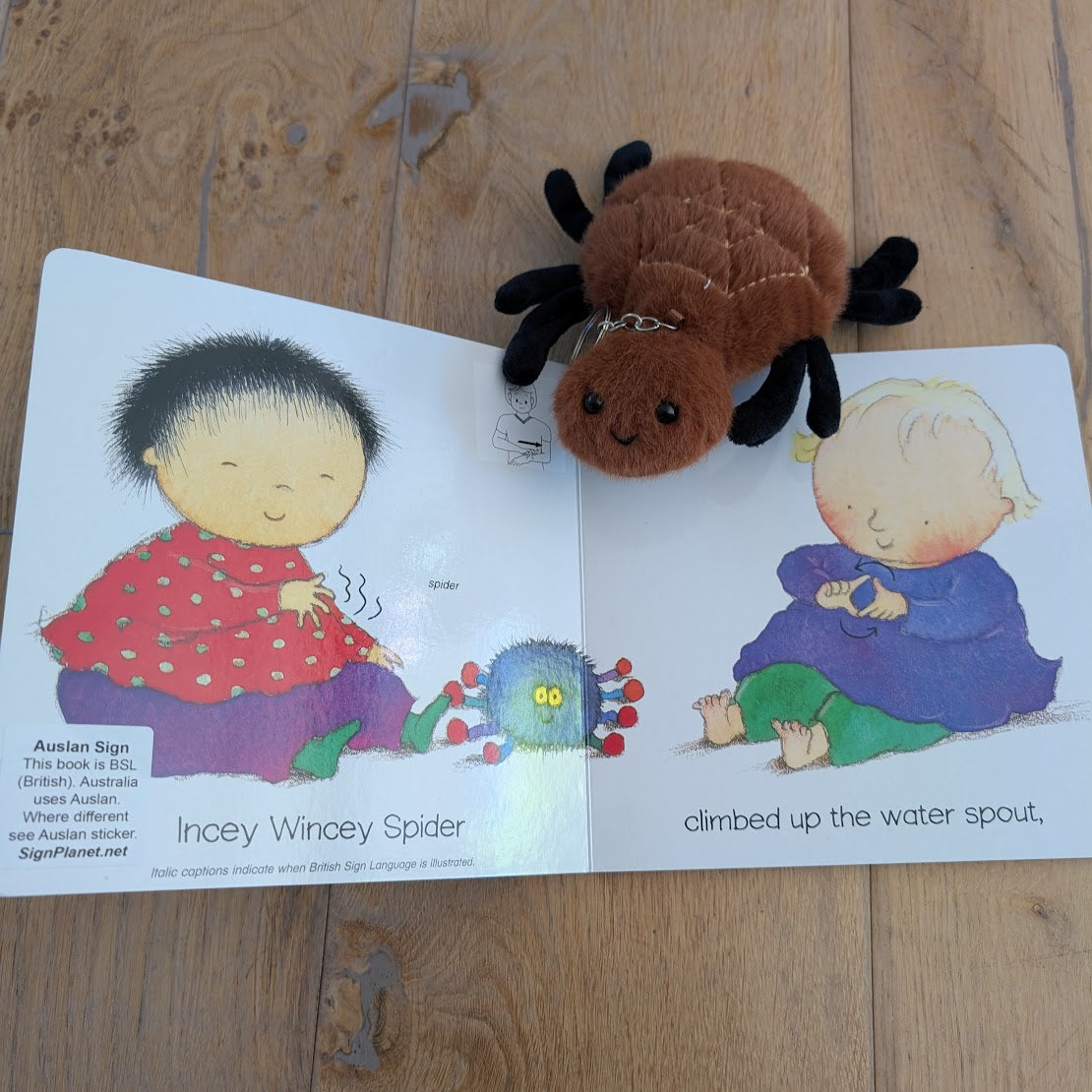 Incey Wincey Spider - Baby Sign Board Book - AUSLAN EDITION