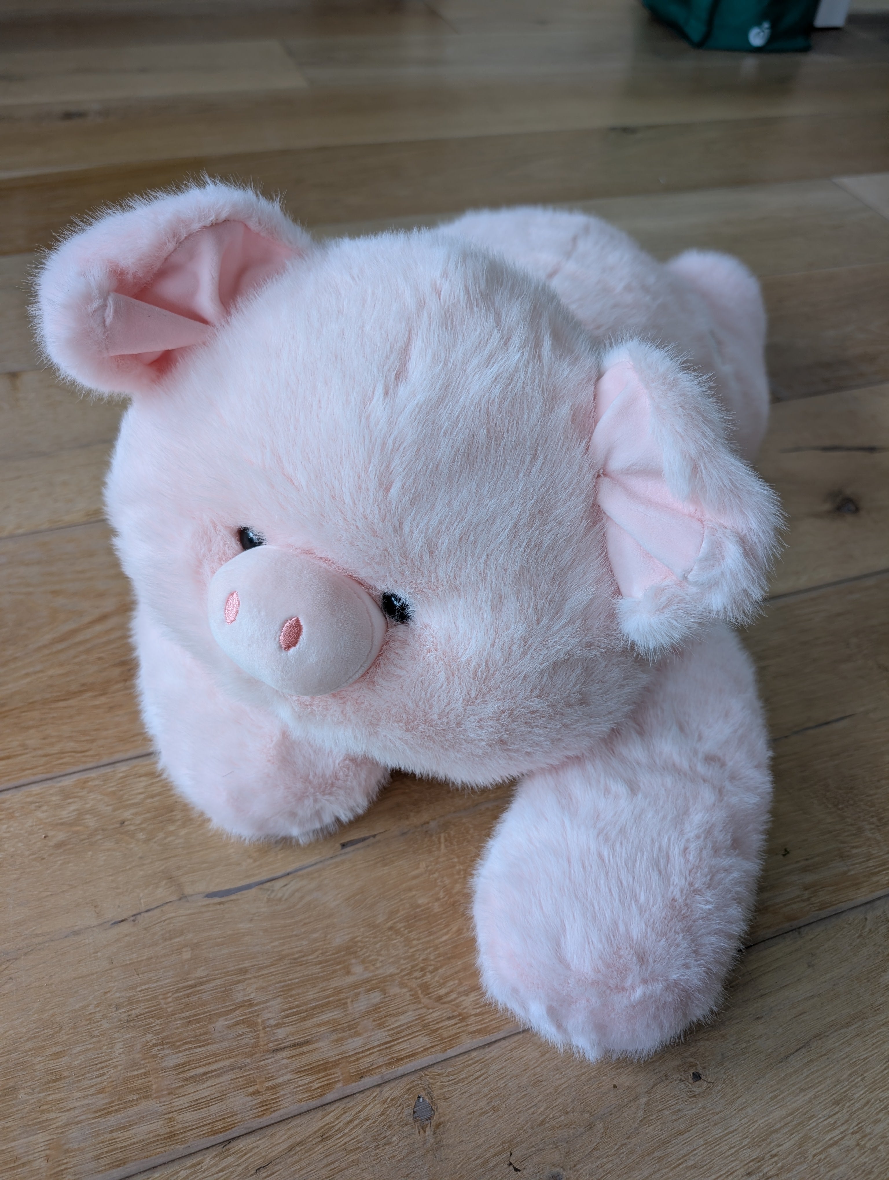 Pudgy Pig the long armed weighted sensory cuddle friend
