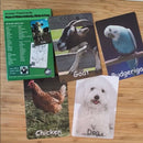 Auslan Flashcards - Animals