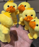 5 Little Ducks - Board Book - AUSLAN EDITION