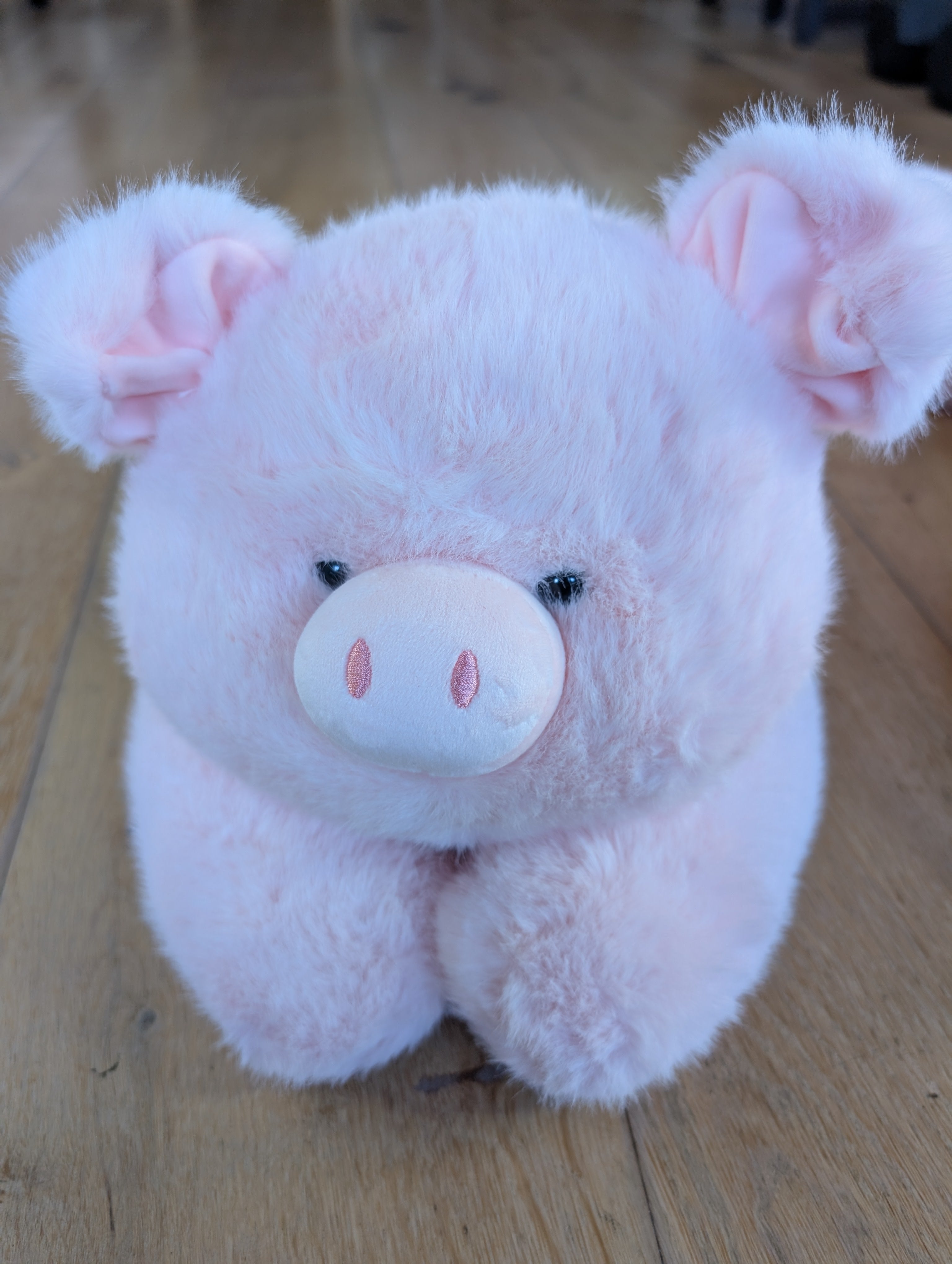Puggy Plush Weighted Animals (<1kg, 65cm) for comforting anxiety reducing cuddles