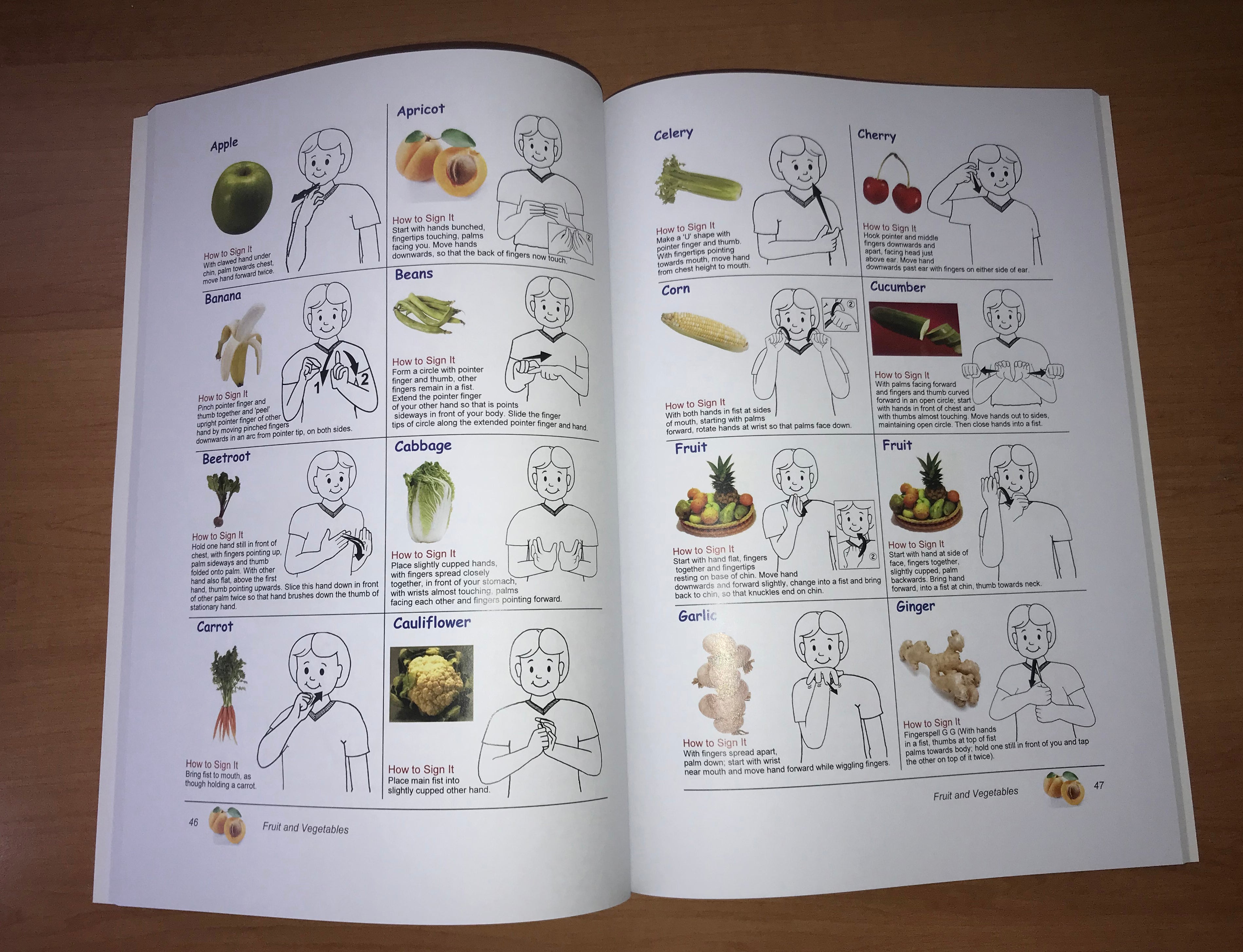 Auslan (Australian Sign Language) Children's Picture Dictionary Volume 1