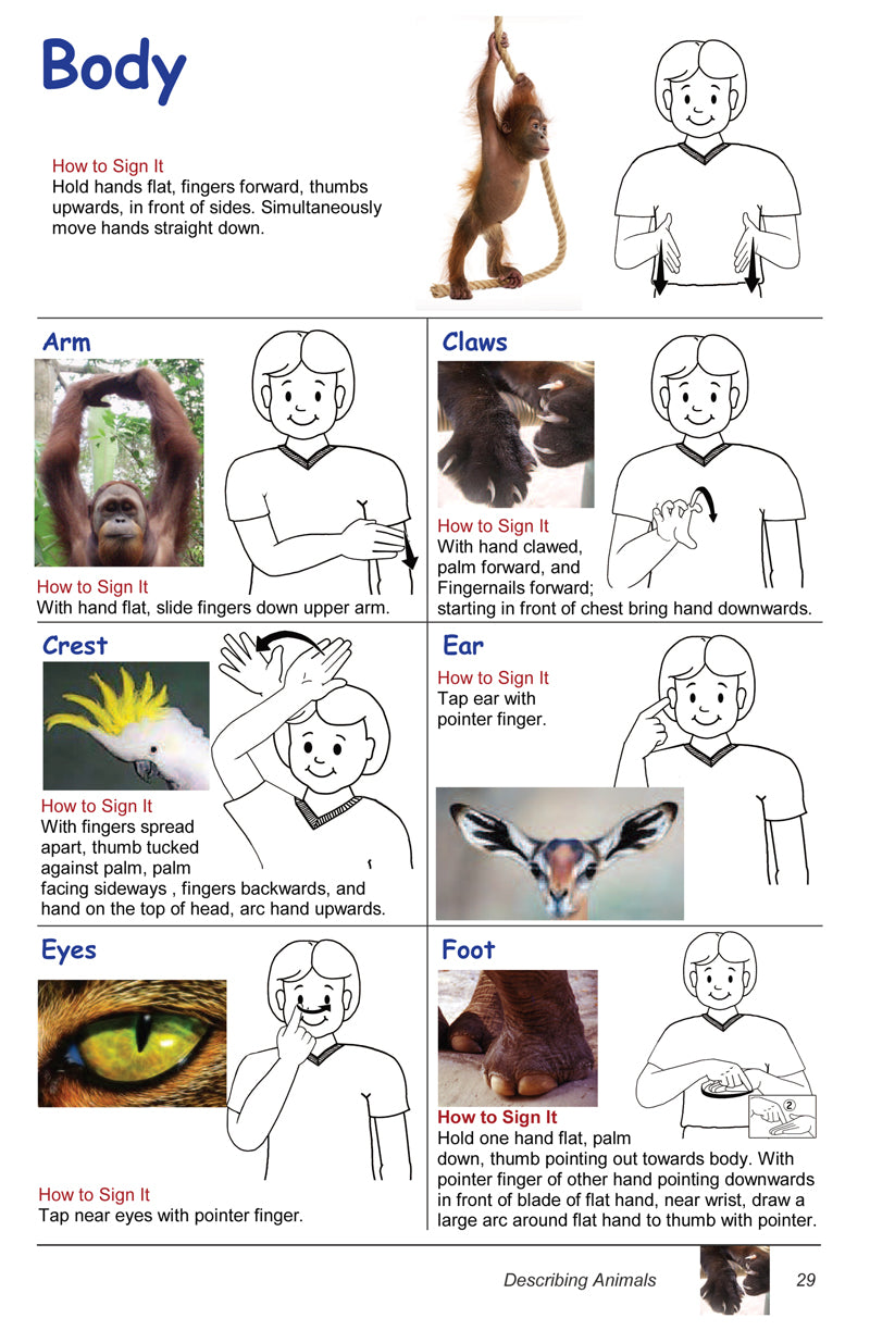 Auslan (Australian Sign Language) Children's Picture Dictionary Volume