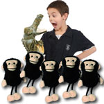Please Mr Crocodile Puppet Set :Includes the plush crocodile hand puppet (30 cm) and 5 monkey finger puppets (12cm tall with elasticized entrances)
